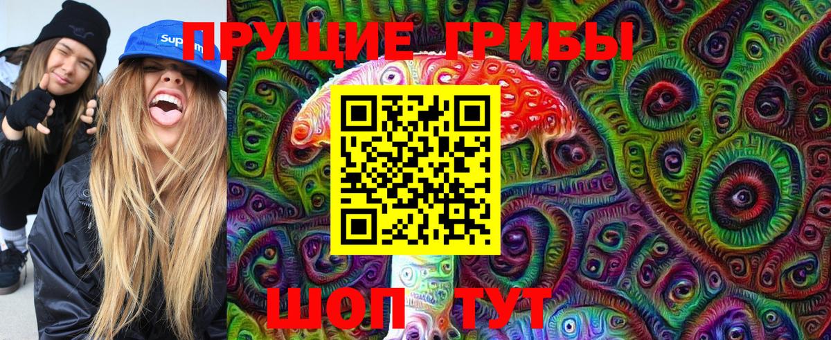 Галлюциногенные грибы Psilocybe Фрязино