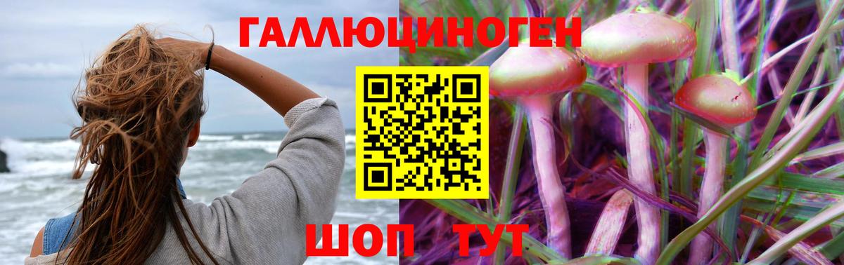 Фрязино  цена наркотик  Вход с VPN  Псилоцибиновые грибы мицелий 
